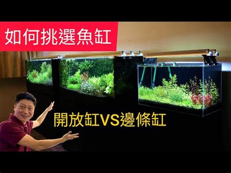 魚缸形狀|【常見魚缸尺寸】水族新手選魚缸指南：避開常見尺寸。